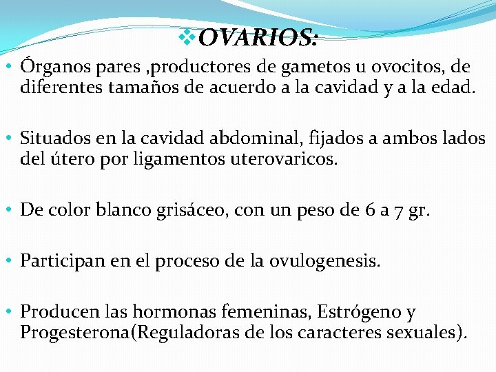 v. OVARIOS: • Órganos pares , productores de gametos u ovocitos, de diferentes tamaños v. OVARIOS: • Órganos pares , productores de gametos u ovocitos, de diferentes tamaños