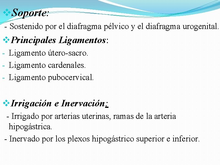 v. Soporte: - Sostenido por el diafragma pélvico y el diafragma urogenital. v. Principales v. Soporte: - Sostenido por el diafragma pélvico y el diafragma urogenital. v. Principales