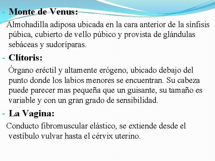 - Monte de Venus: Almohadilla adiposa ubicada en la cara anterior de la sínfisis - Monte de Venus: Almohadilla adiposa ubicada en la cara anterior de la sínfisis