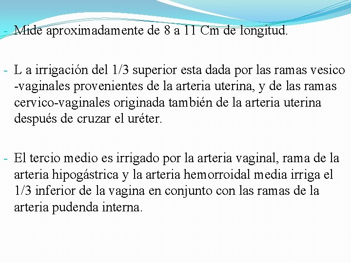 - Mide aproximadamente de 8 a 11 Cm de longitud. - L a irrigación - Mide aproximadamente de 8 a 11 Cm de longitud. - L a irrigación