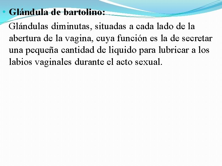 • Glándula de bartolino: Glándulas diminutas, situadas a cada lado de la abertura • Glándula de bartolino: Glándulas diminutas, situadas a cada lado de la abertura