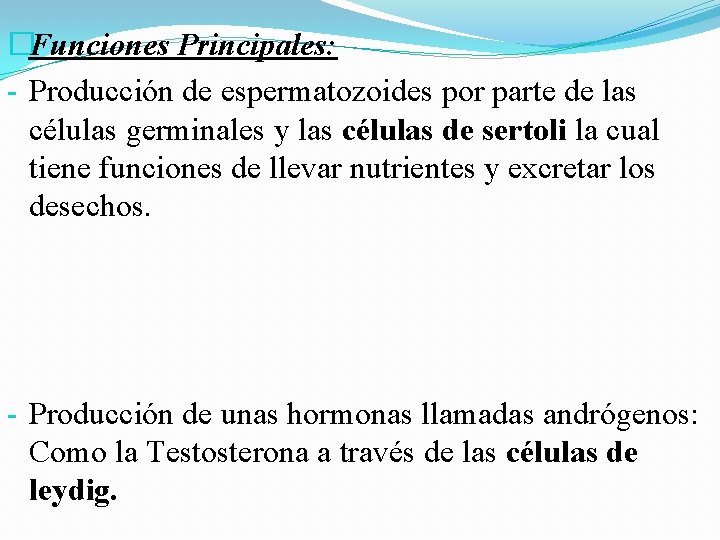 �Funciones Principales: - Producción de espermatozoides por parte de las células germinales y las �Funciones Principales: - Producción de espermatozoides por parte de las células germinales y las