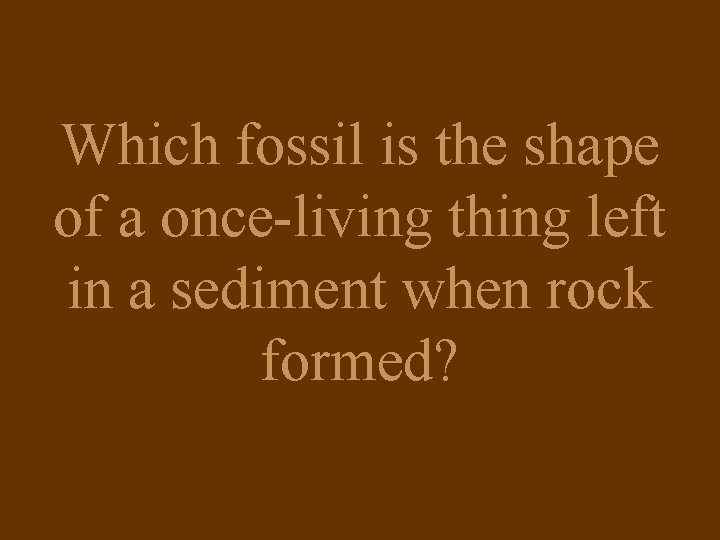 Which fossil is the shape of a once-living thing left in a sediment when