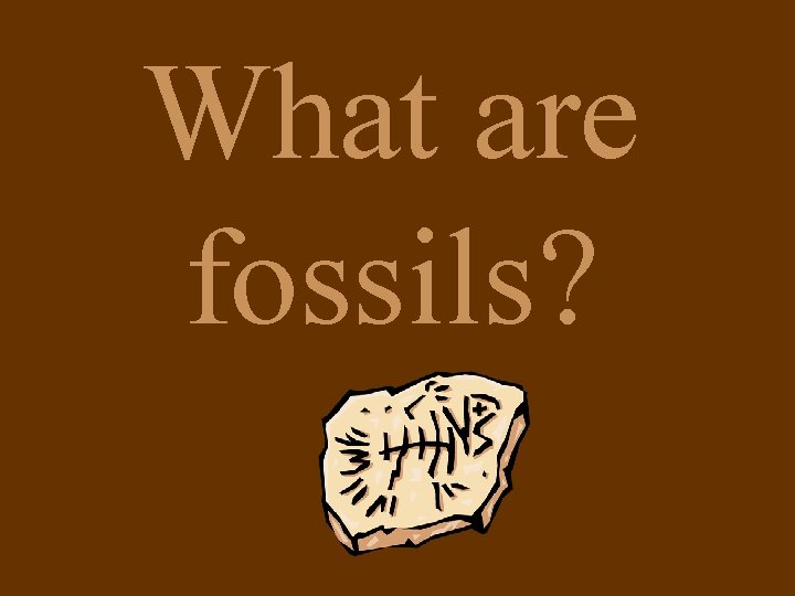 What are fossils? 