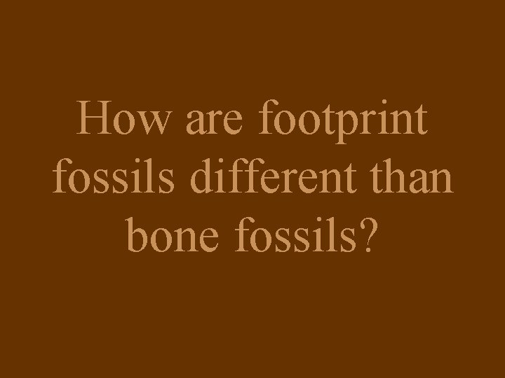 How are footprint fossils different than bone fossils? 