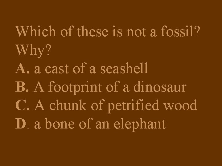 Which of these is not a fossil? Why? A. a cast of a seashell