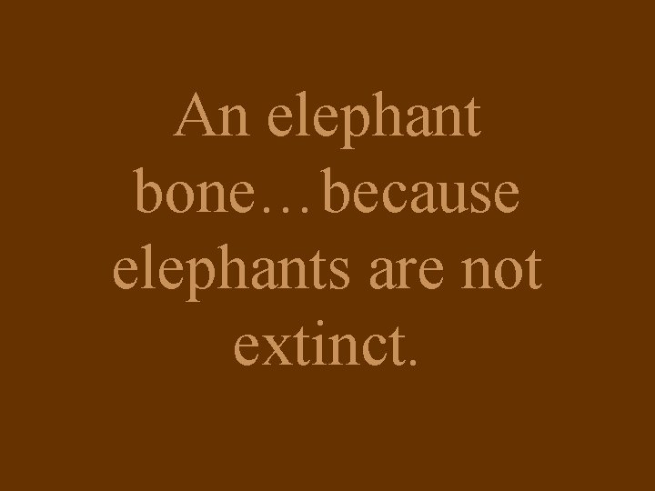 An elephant bone…because elephants are not extinct. 