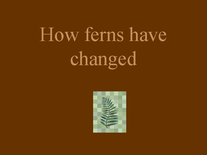 How ferns have changed 