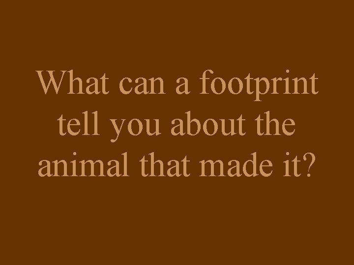 What can a footprint tell you about the animal that made it? 