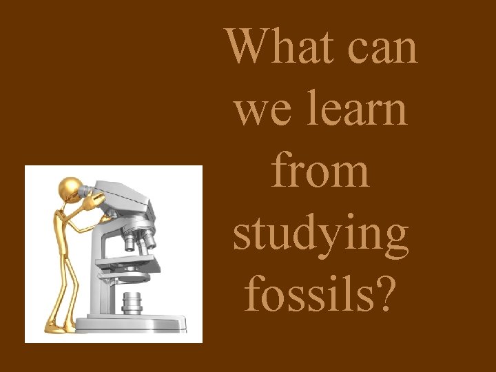 What can we learn from studying fossils? 