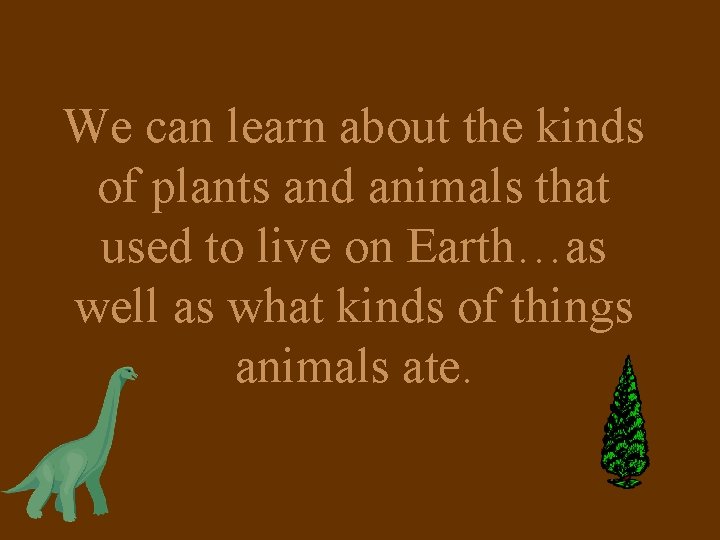 We can learn about the kinds of plants and animals that used to live