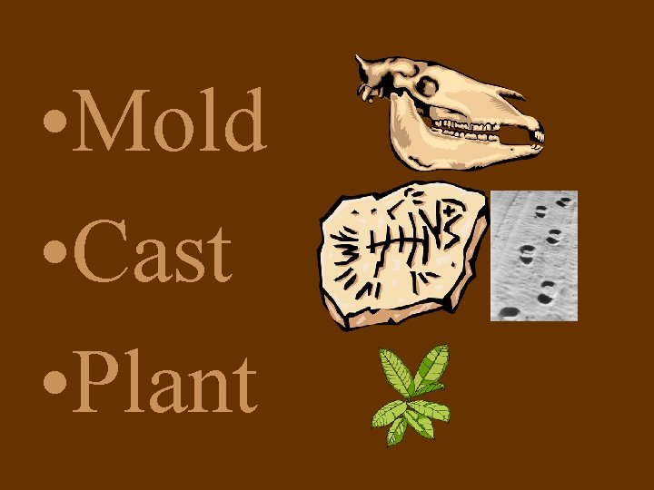  • Mold • Cast • Plant 