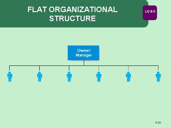 FLAT ORGANIZATIONAL STRUCTURE LO 8 -3 8 -15 