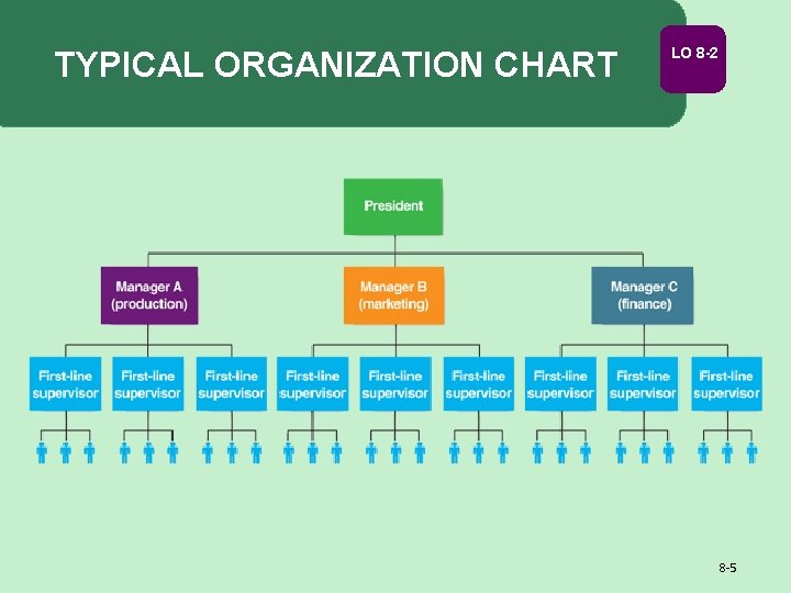 TYPICAL ORGANIZATION CHART LO 8 -2 8 -5 