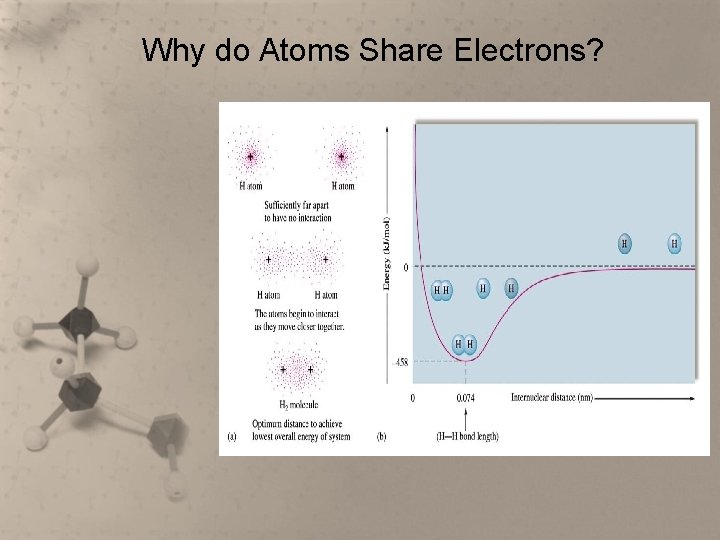 Why do Atoms Share Electrons? 