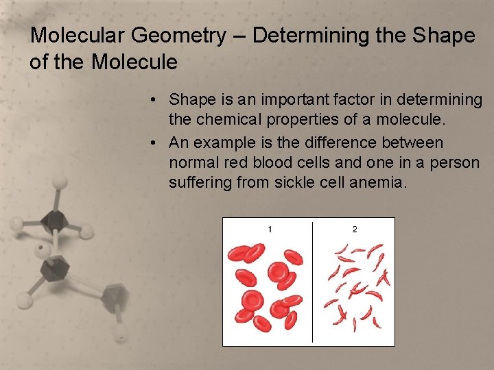 Molecular Geometry – Determining the Shape of the Molecule • Shape is an important