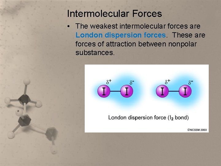 Intermolecular Forces • The weakest intermolecular forces are London dispersion forces. These are forces