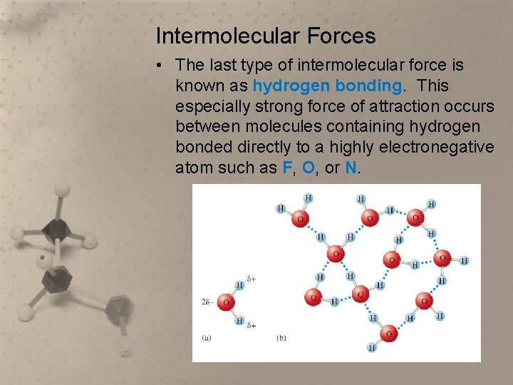 Intermolecular Forces • The last type of intermolecular force is known as hydrogen bonding.