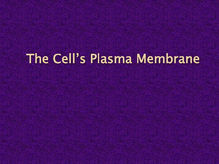 The Cell’s Plasma Membrane 