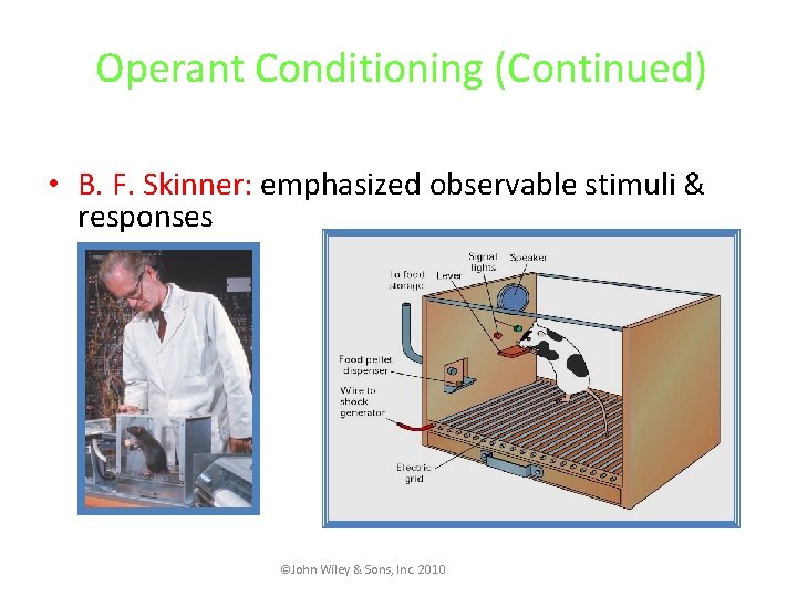 Operant Conditioning (Continued) • B. F. Skinner: emphasized observable stimuli & responses ©John Wiley