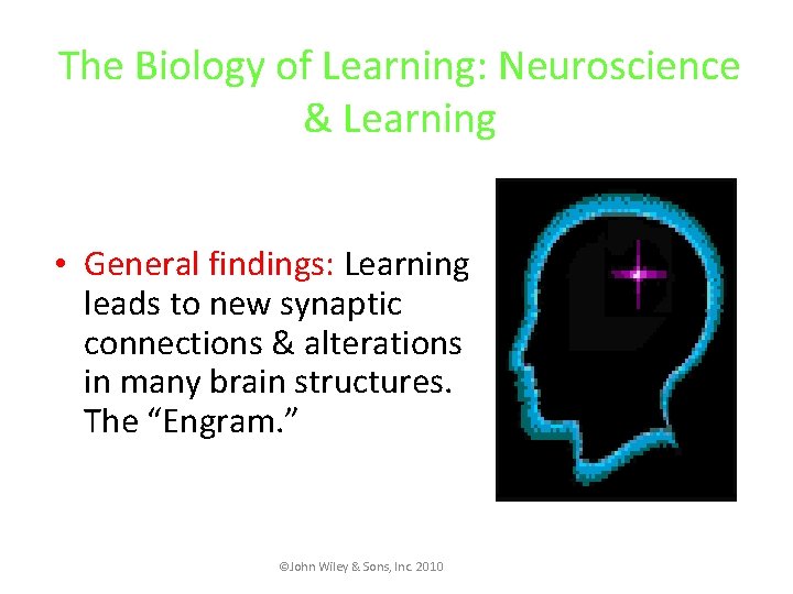 The Biology of Learning: Neuroscience & Learning • General findings: Learning leads to new