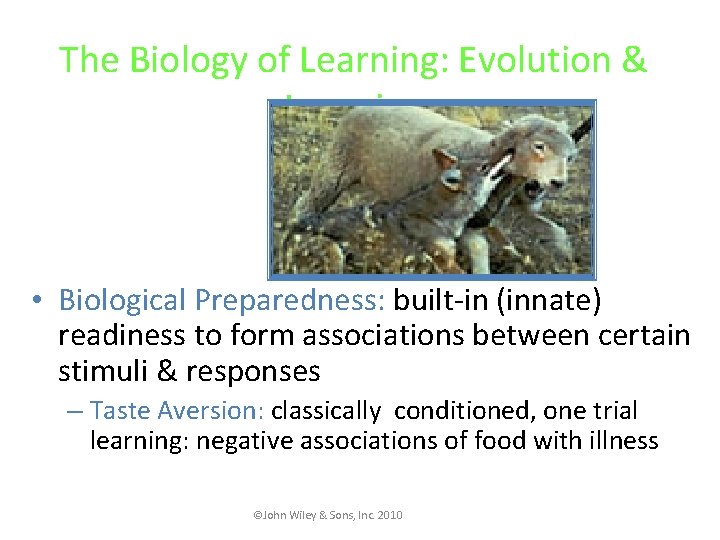 The Biology of Learning: Evolution & Learning • Biological Preparedness: built-in (innate) readiness to