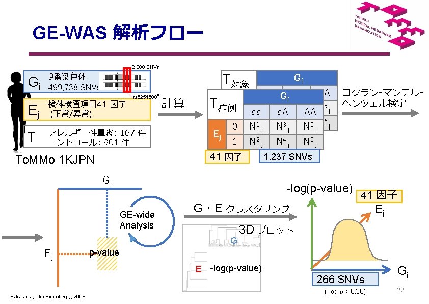 　 　GE-WAS 解析フロー 2, 000 SNVs G 9番染色体 i 499, 738 SNVs T対象 rs