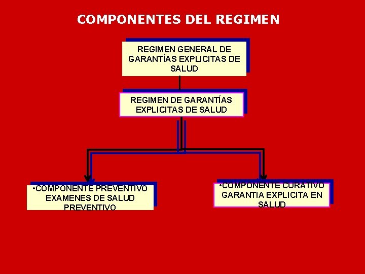 COMPONENTES DEL REGIMEN GENERAL DE GARANTÍAS EXPLICITAS DE SALUD REGIMEN DE GARANTÍAS EXPLICITAS DE