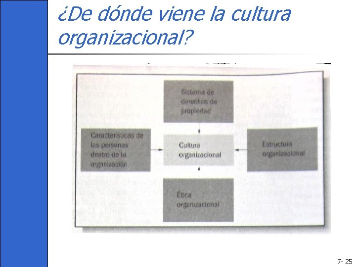 ¿De dónde viene la cultura organizacional? 7 - 25 