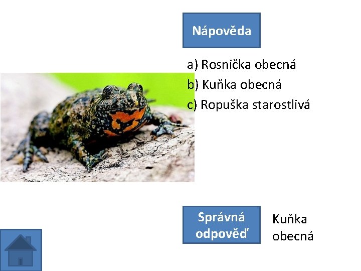 Nápověda a) Rosnička obecná b) Kuňka obecná c) Ropuška starostlivá Správná odpověď Kuňka obecná