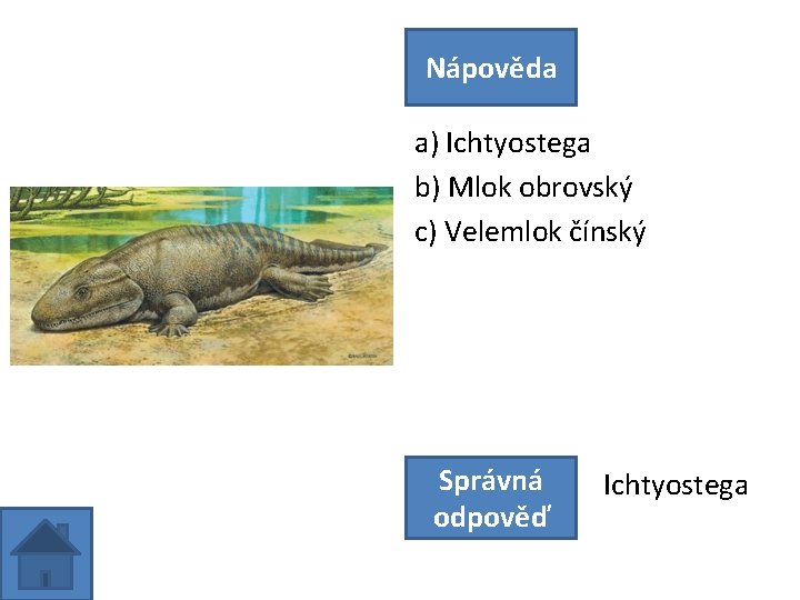 Nápověda a) Ichtyostega b) Mlok obrovský c) Velemlok čínský Správná odpověď Ichtyostega 