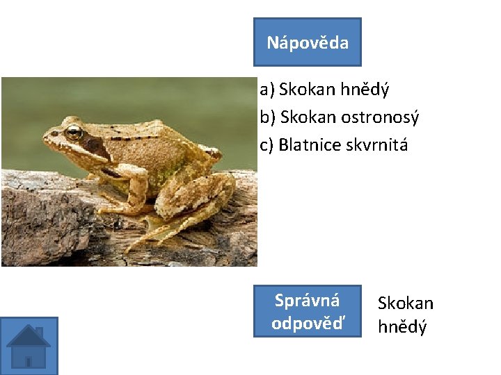 Nápověda a) Skokan hnědý b) Skokan ostronosý c) Blatnice skvrnitá Správná odpověď Skokan hnědý