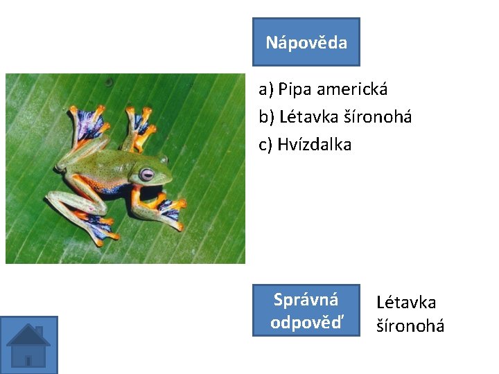 Nápověda a) Pipa americká b) Létavka šíronohá c) Hvízdalka Správná odpověď Létavka šíronohá 