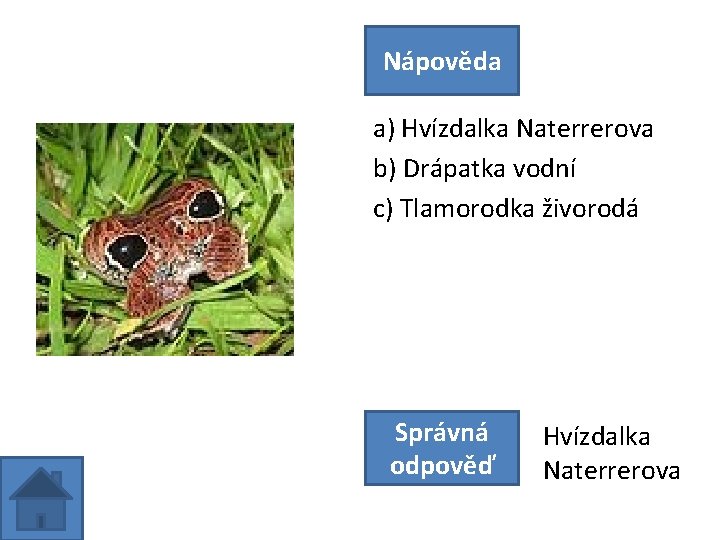 Nápověda a) Hvízdalka Naterrerova b) Drápatka vodní c) Tlamorodka živorodá Správná odpověď Hvízdalka Naterrerova