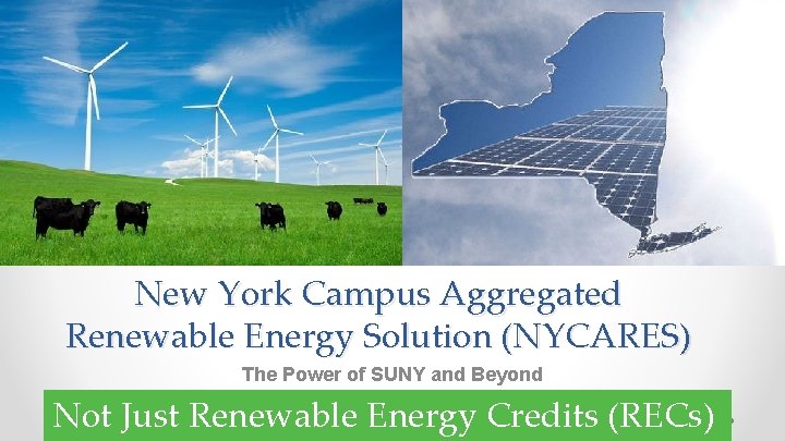 New York Campus Aggregated Renewable Energy Solution (NYCARES) The Power of SUNY and Beyond