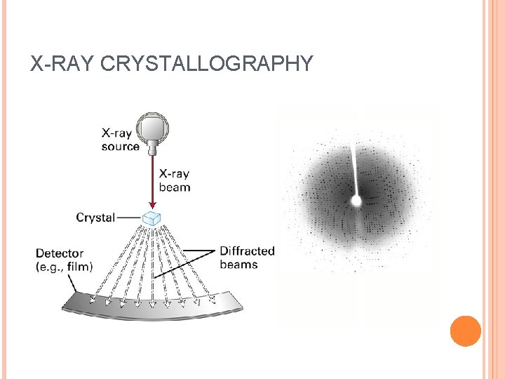 X-RAY CRYSTALLOGRAPHY 