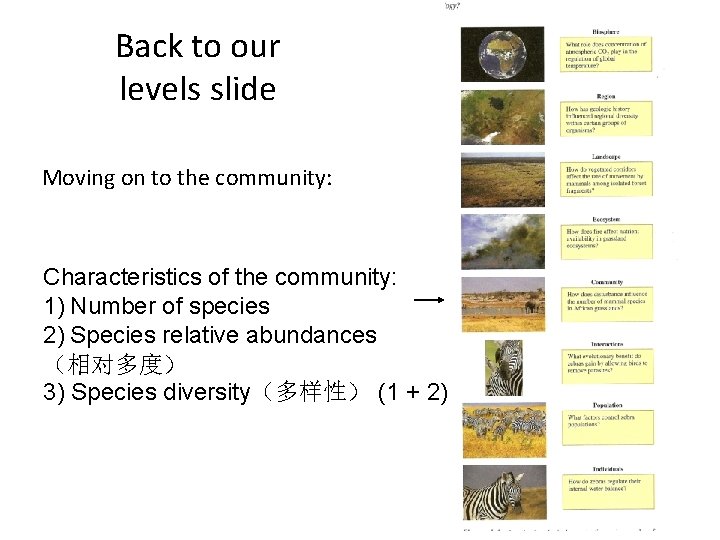 Back to our levels slide Moving on to the community: Characteristics of the community: