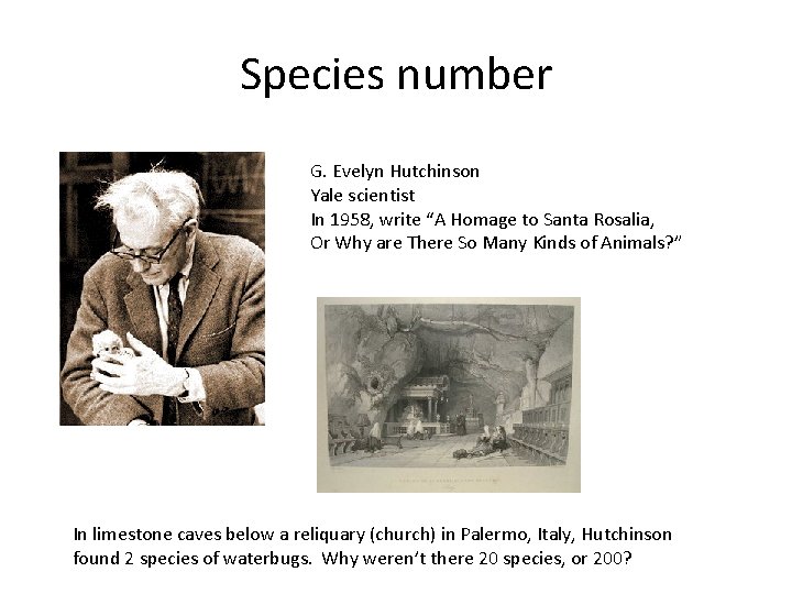 Species number G. Evelyn Hutchinson Yale scientist In 1958, write “A Homage to Santa