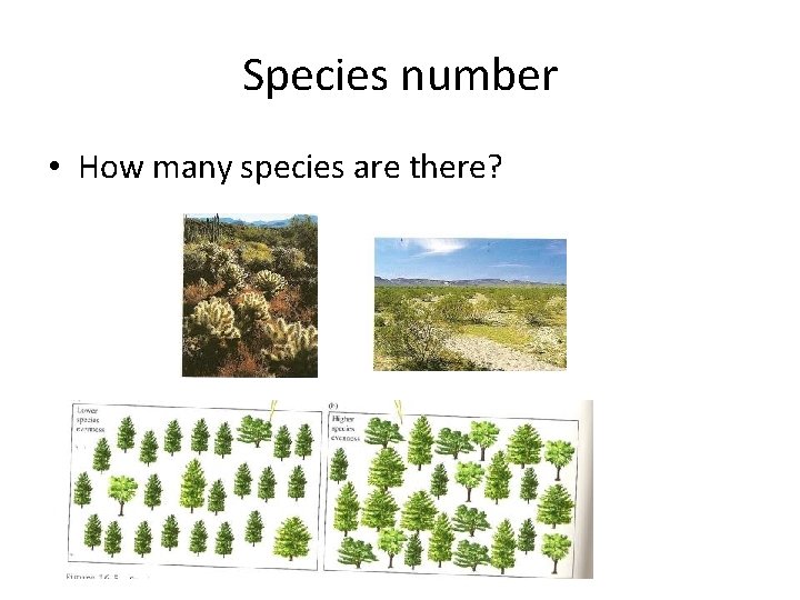 Species number • How many species are there? 