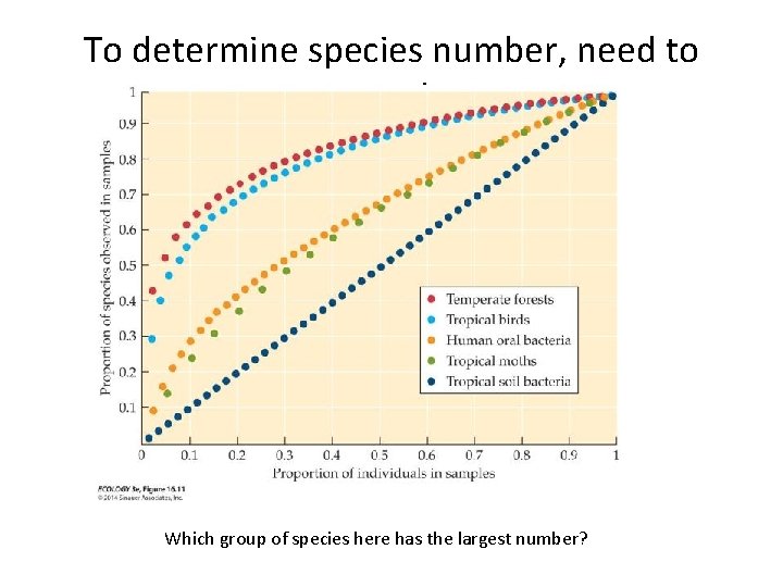 To determine species number, need to sample Which group of species here has the