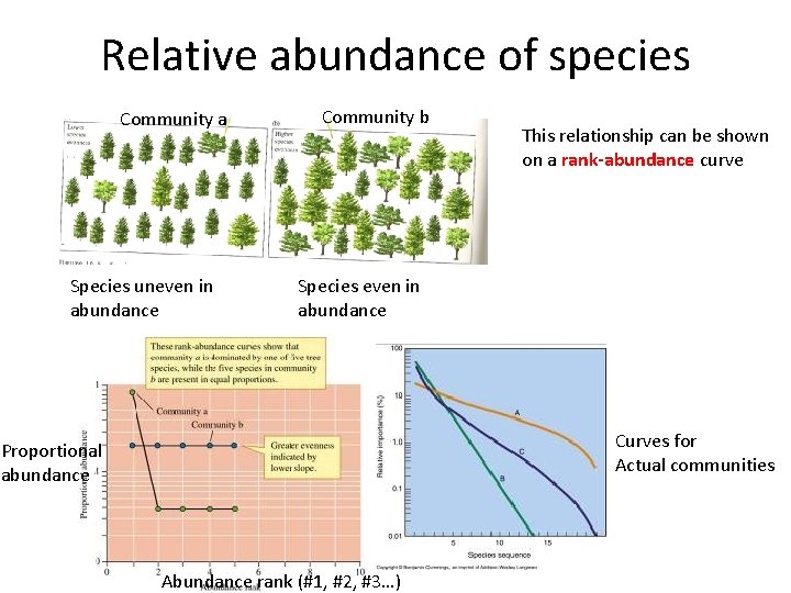 Relative abundance of species Community a Species uneven in abundance Community b This relationship