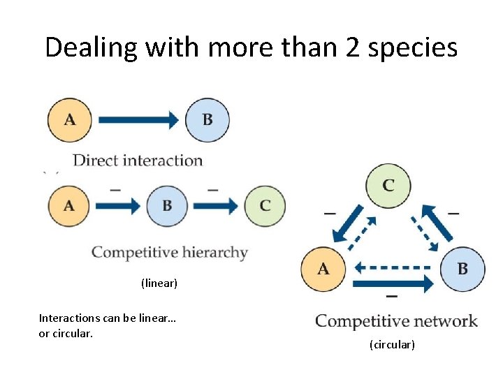 Dealing with more than 2 species (linear) Interactions can be linear… or circular. (circular)