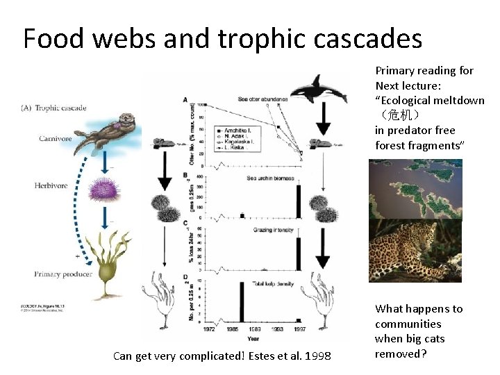 Food webs and trophic cascades Primary reading for Next lecture: “Ecological meltdown （危机） in