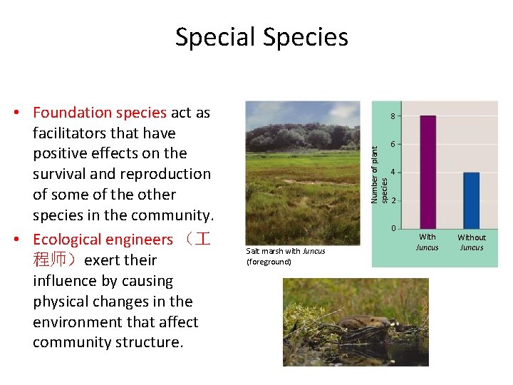 Special Species 8 Number of plant species • Foundation species act as facilitators that