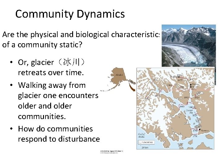 Community Dynamics Are the physical and biological characteristics of a community static? • Or,