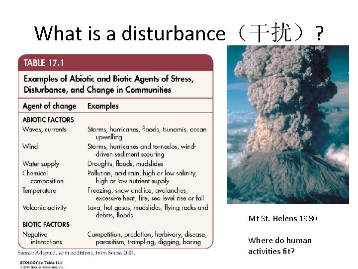 What is a disturbance（干扰）? Mt St. Helens 1980 Where do human activities fit? 