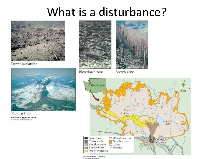 What is a disturbance? 