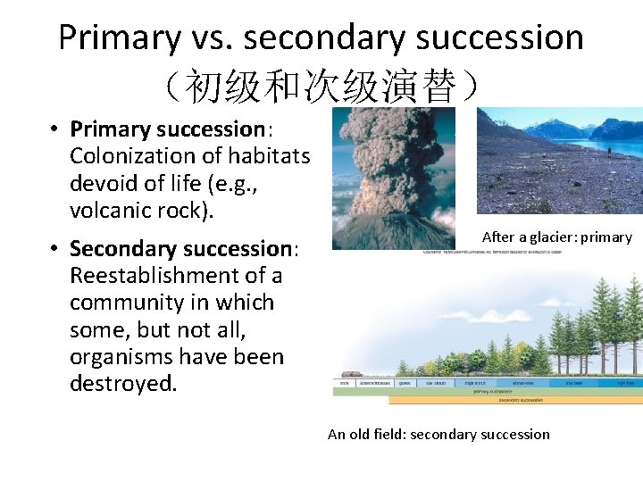 Primary vs. secondary succession （初级和次级演替） • Primary succession: Colonization of habitats devoid of life