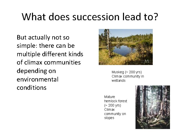 What does succession lead to? But actually not so simple: there can be multiple