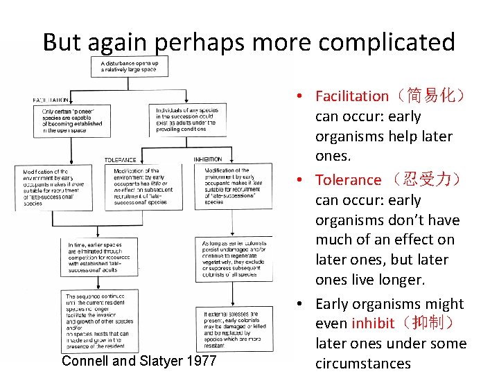 But again perhaps more complicated Connell and Slatyer 1977 • Facilitation（简易化） can occur: early